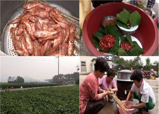 KBS는 6일 저녁 7시30분 KBS 1TV에서 방송하는 '한국인의 밥상'에서 남도 바다위에서 열리는 생선시장 '해상파시'의 역사와 섬사람들의 애환과 지혜가 담긴 밥상을 다룬다고 밝혔다.  KBS 제공